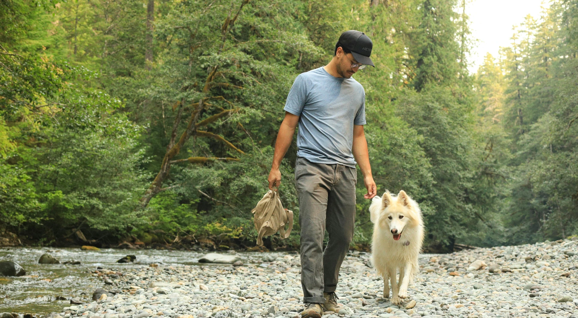 Bilan comportemental au Mans avec Grégory Tourneur - Educateur canin