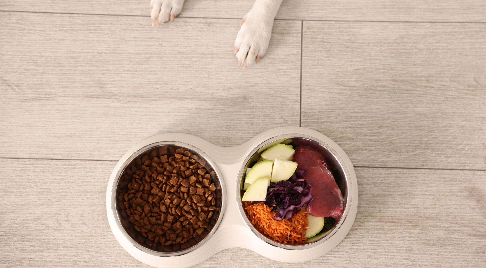 Bilan nutritionnel canin et félin avec votre éducateur canin au Mans Bilan nutritionnel canin et félin avec votre éducateur canin au Mans