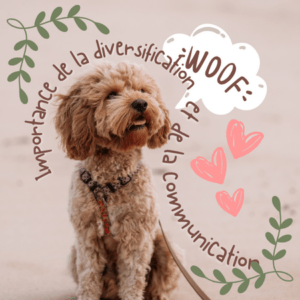 Importance de la diversification et de la communication